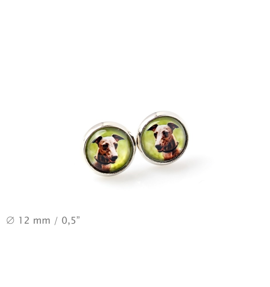 Azawakh, Tuareg Sloughi - jewelry with your photo box, set of necklace and earrings, personalized products from the Art-Dog brand
