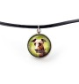 Azawakh, Tuareg Sloughi - jewelry with your photo box, set of necklace and earrings, personalized products from the Art-Dog brand