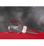 Vizsla - Crystal bottle stopper, unique wine stopper with photo, personalised gift for sommelier by Art-Dog brand