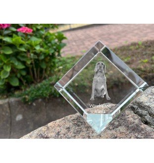 Vizsla - crystal cube with a photo, photo of a horse in crystal, cubic paperweight from Art-Dog brand