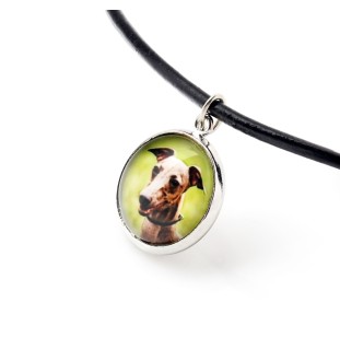 Azawakh, Tuareg Sloughi - a set of jewelry with your photo, handmade set, bracelet and necklace by Art.-Dog brand