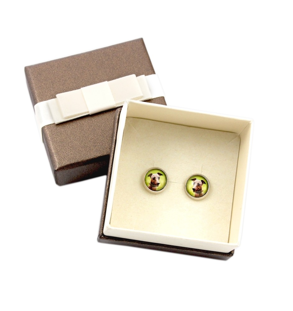 Azawakh, Tuareg Sloughi - earrings in a box, your photo, handmade jewelry, a product of the Art-Dog brand