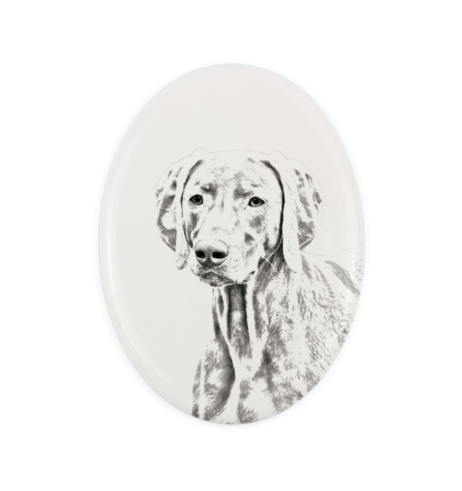Weimaraner, Grey Ghost - commemorative plaque with a photo of a dog, tombstone with a print, personalized oval plaque from the Art-Dog brand