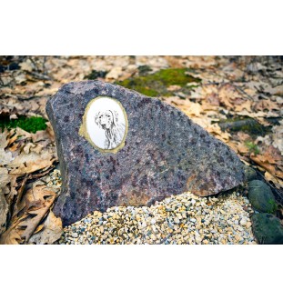 Braque de Weimar, Weimaraner - une plaque commémorative avec une photo de chien, une plaque funéraire avec une impression, une plaque ovale personnalisée de la marque Art-Dog