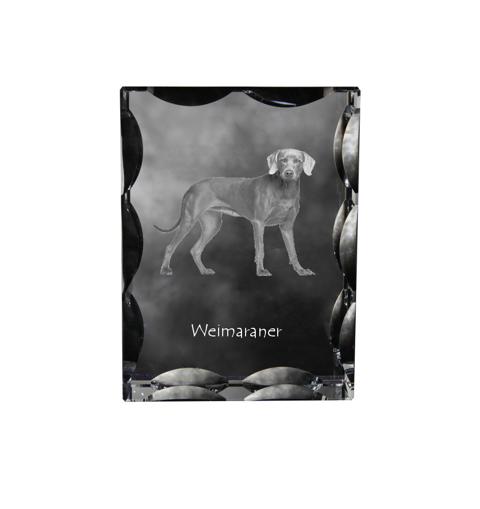 Weimaraner, Grey Ghost - crystal with a picture of a dog, glass statuette with a picture, unique frame with a picture from Art-Dog brand