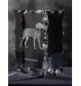 Weimaraner, Weimaraner Vorstehhund - Kristall mit einem Hundebild, Glasstatuette mit einem Bild, einzigartiger Bilderrahmen der Marke Art-Dog