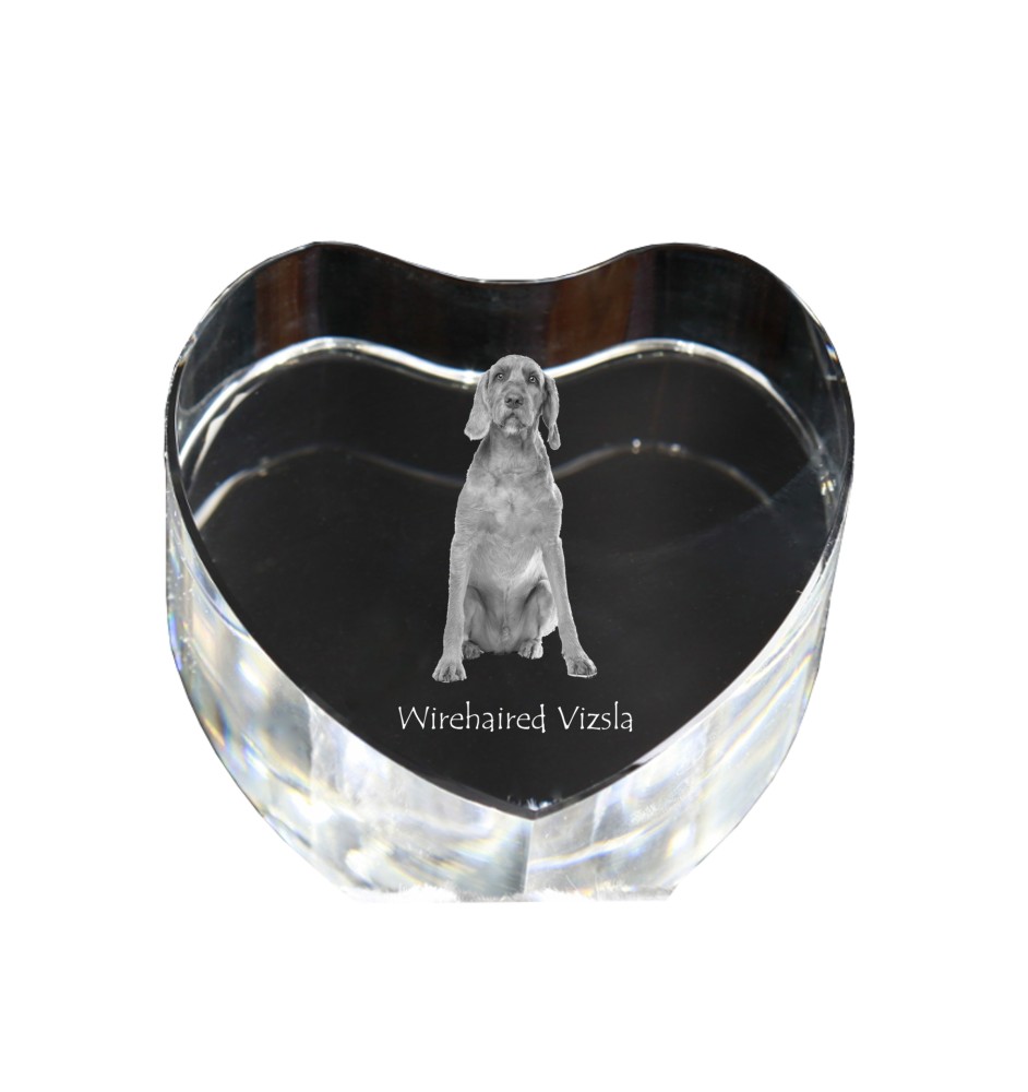 Vizsla - a photo of a dog in crystal, crystal heart, unique photo frame from the Art-Dog brand