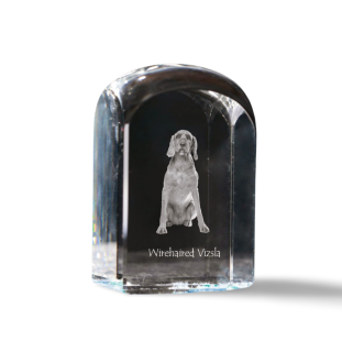 Vizsla - crystal cube with a photo, photo of a dog in crystal, cubic paperweight from Art-Dog brand