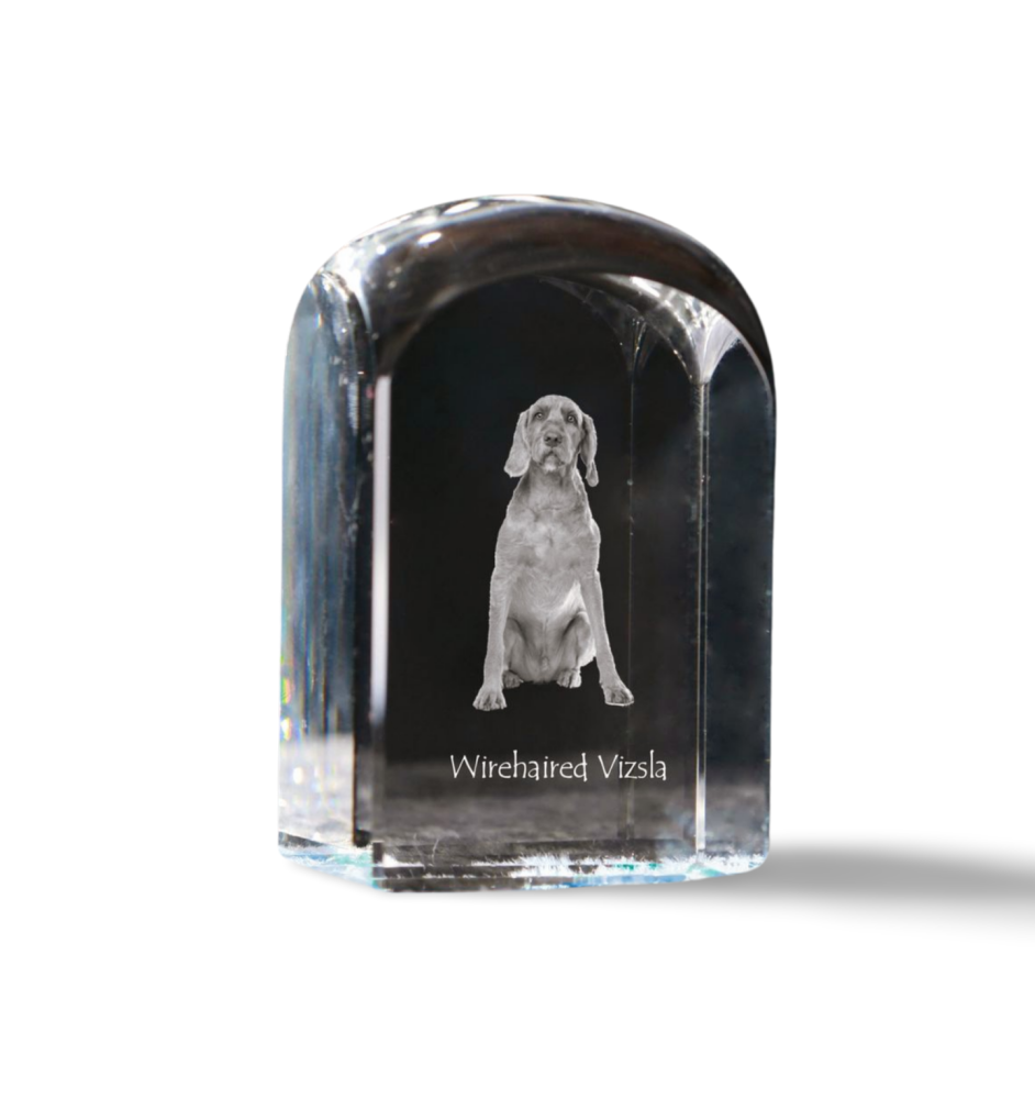 Vizsla - un cube de cristal avec une photo, une photo de chien dans le cristal, un presse-papiers cubique de la marque Art-Dog