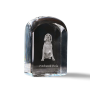 Vizsla - crystal cube with a photo, photo of a dog in crystal, cubic paperweight from Art-Dog brand