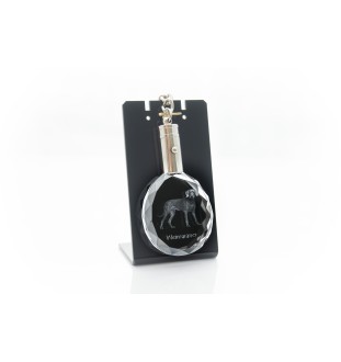 Weimaraner, Grey Ghost - pendant with a photo of a dog, crystal key ring in a gift box, a unique gift by Art-Dog