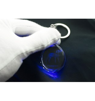 Weimaraner, Grey Ghost - pendant with a photo of a dog, crystal key ring in a gift box, a unique gift by Art-Dog