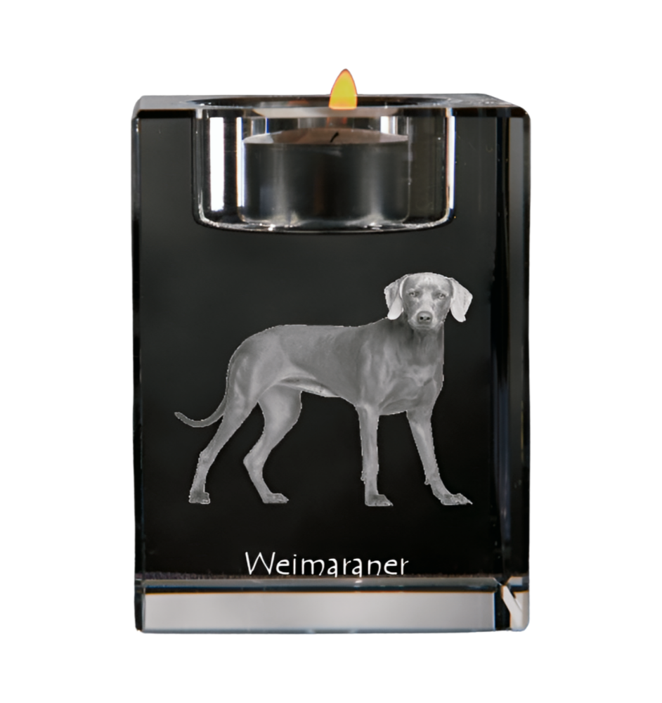 Braque de Weimar, Weimaraner - Bougeoir avec photo de chien, porte bougie en cristal, cadeau personnalisé par la marque Art-Dog