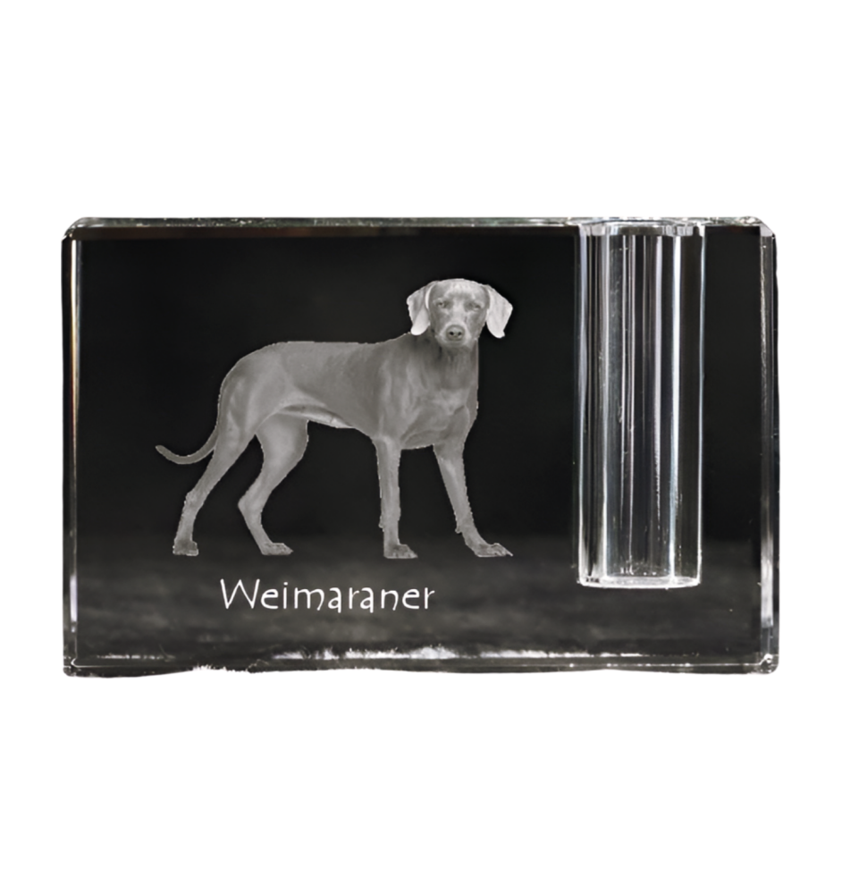 Weimaraner, Grey Ghost - Pen stand, crystal organiser with dog photo, unique desk decoration by Art-Dog brand
