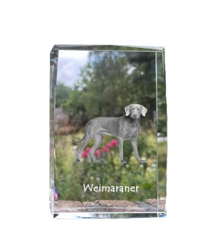 Weimaraner, Grey Ghost - crystal with a picture of a dog, photo in glass, modern exhibition of Art-Dog brand photo