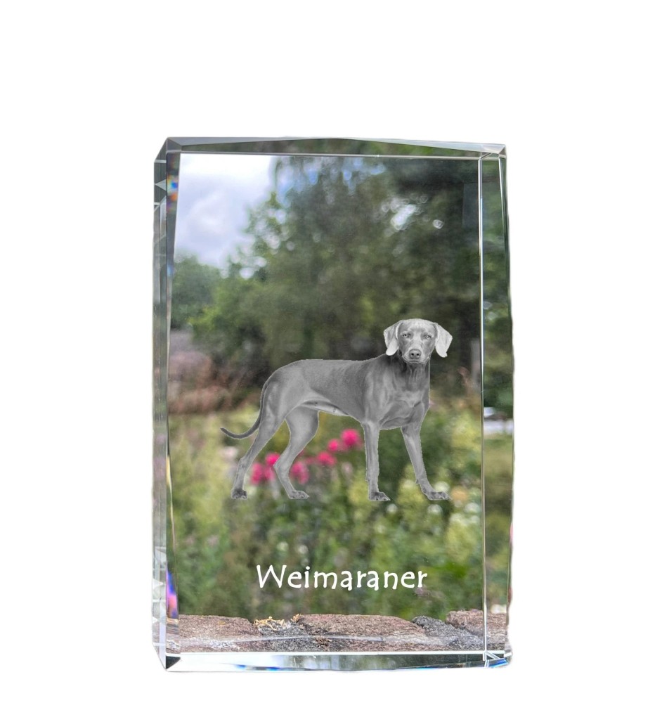 Weimaraner, Weimaraner Vorstehhund - Kristall mit einem Hundebild, Bild im Glas, moderne Ausstellung des Art-Dog-Bildes.