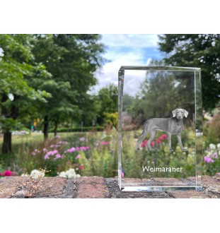 Weimaraner, Grey Ghost - crystal with a picture of a dog, photo in glass, modern exhibition of Art-Dog brand photo