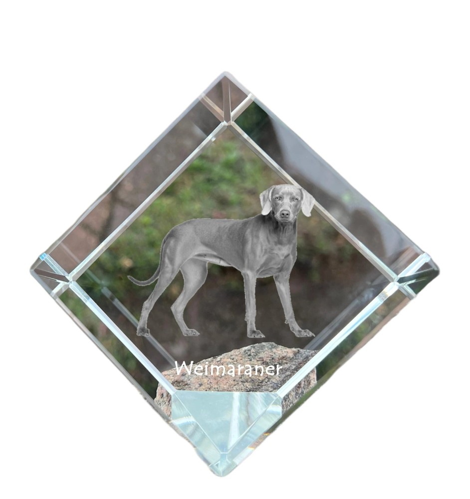 Weimaraner, Grey Ghost - crystal cube with a photo, photo of a horse in crystal, cubic paperweight from Art-Dog brand