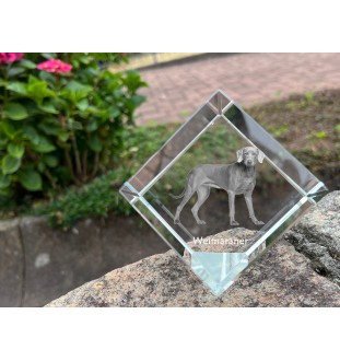 Braque de Weimar, Weimaraner - un cube de cristal avec une photo, une photo de cheval dans le cristal, un presse-papiers cubique de la marque Art-Dog