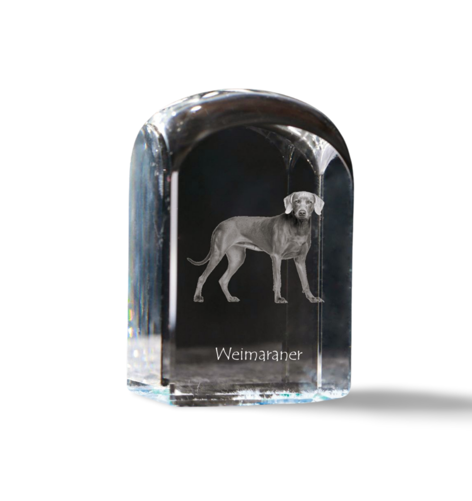 Braque de Weimar, Weimaraner - un cube de cristal avec une photo, une photo de chien dans le cristal, un presse-papiers cubique de la marque Art-Dog