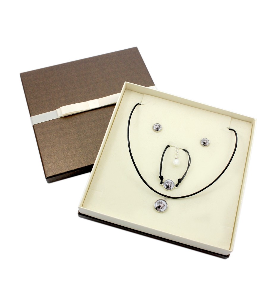 Braque de Weimar, Weimaraner - ensemble de bijoux dans une boîte, collier, boucles d'oreilles, bracelet, produits de la marque Art-Dog