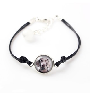 Braque de Weimar, Weimaraner - ensemble de bijoux dans une boîte, collier, boucles d'oreilles, bracelet, produits de la marque Art-Dog