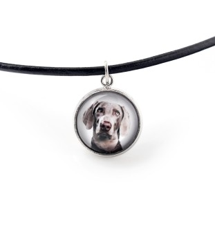 Weimaraner, Weimaraner Vorstehhund - Schmuck mit Ihrem Foto-Box, Halskette und Ohrringe-Set, personalisierte Produkte der Marke Art-Dog.