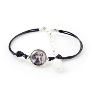 Braque de Weimar, Weimaraner - ensemble de bijoux avec votre photo, ensemble fait à la main, bracelet et collier de la marque Art.-Dog