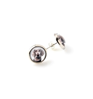 Weimaraner, Grey Ghost - a set of jewelry with your photo, a woman's ornament, handmade item, a product made with passion for creating the Art-Dog brand.