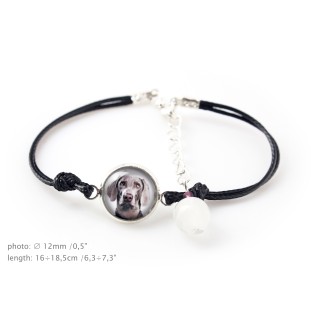 Braque de Weimar, Weimaraner - bracelet dans une boîte avec votre photo, bijoux féminins, cadeau parfait de la marque Art-Dog
