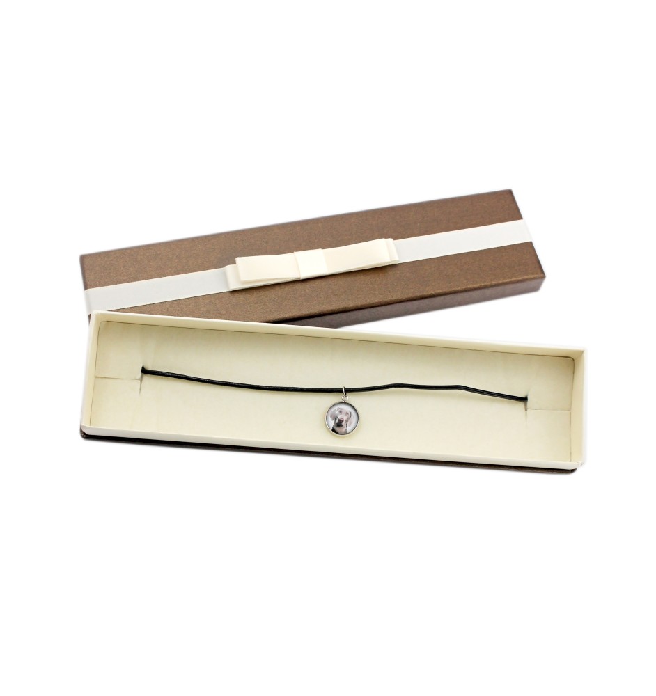 Wyżeł weimarski naszyjnik w pudełku ze zdjęciem Art-Dog