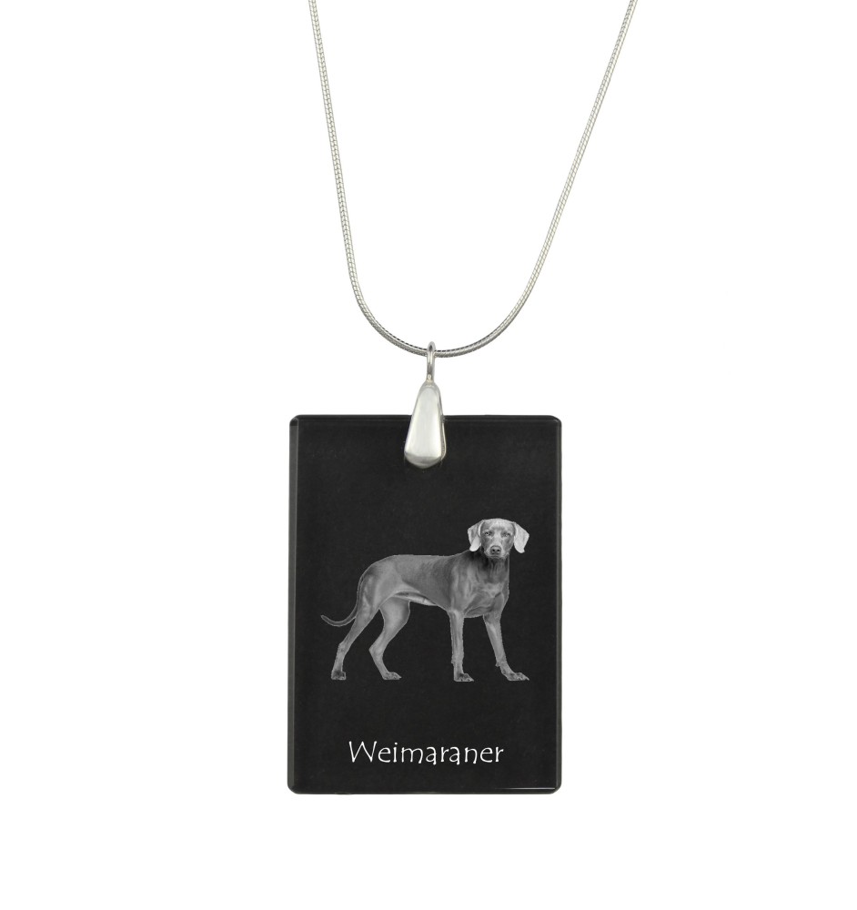 Weimaraner, Grey Ghost - Crystal pendant with dog, silver necklace with photo, personalised pendant by Art-Dog brand