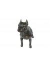 American Staffordshire Terrier - statue (resin) - 4691 - 41895
