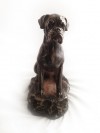 Boxer - figurine (bronze) - 1573 - 6915