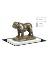 English Bulldog - figurine (bronze) - 4605 - 41445