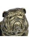 English Bulldog - figurine (resin) - 363 - 16263
