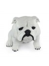 English Bulldog - statue (resin) - 654 - 21706