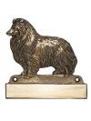 Shetland Sheepdog - tablet - 1684 - 9754