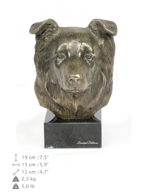 Border Collie - figurine (bronze) - 178 - 22086