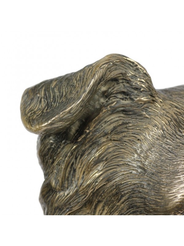 Border Collie - figurine (bronze) - 178 - 22094