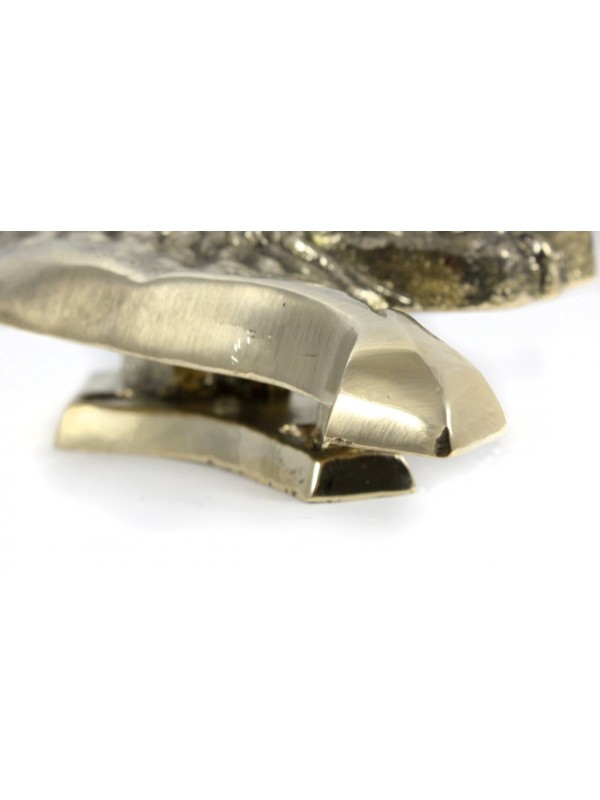 Bull Terrier - knocker (brass) - 322 - 7252