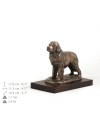 Newfoundland  - figurine (bronze) - 610 - 8349