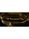 Cavalier King Charles Spaniel - clip (gold plating) - 1034 - 4539