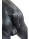 French Bulldog - statue (resin) - 2 - 21752