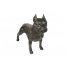American Staffordshire Terrier - statue (resin) - 4691 - 41894