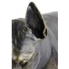 Bull Terrier - statue (resin) - 16 - 21640
