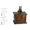 Bull Terrier - urn - 4041 - 38150