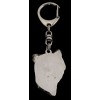 Chinese Crested - keyring (silver plate) - 1779 - 11634