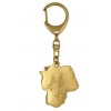 Dogo Argentino - keyring (gold plating) - 2397 - 26936