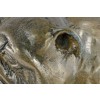 English Bulldog - figurine (bronze) - 2388 - 26173